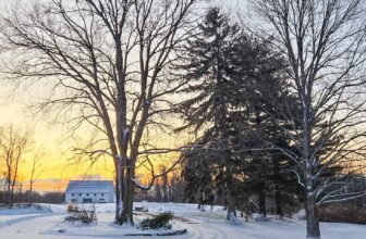 The Little Issues E-newsletter #457 – Life, laughter, and plenty of nice meals!