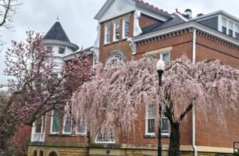 The Little Issues Publication #463 – Life, laughter, and many nice meals!