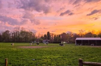 The Little Issues Publication #467 – Life, laughter, and plenty of nice meals!