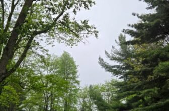 The Little Issues E-newsletter #469 – Life, laughter, and many nice meals!