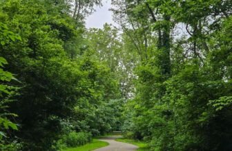 The Little Issues Publication #477 – Life, laughter, and many nice meals!