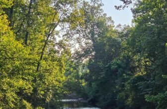 The Little Issues Publication #483 – Life, laughter, and many nice meals!