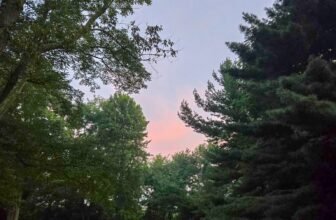 The Little Issues Publication #484 – Life, laughter, and plenty of nice meals!