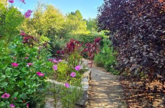 The Little Issues E-newsletter #486 – Life, laughter, and plenty of nice meals!