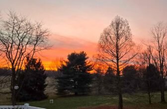 The Little Issues Publication #501 – Life, laughter, and many nice meals!