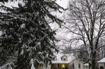 The Little Issues E-newsletter #498 – Life, laughter, and many nice meals!